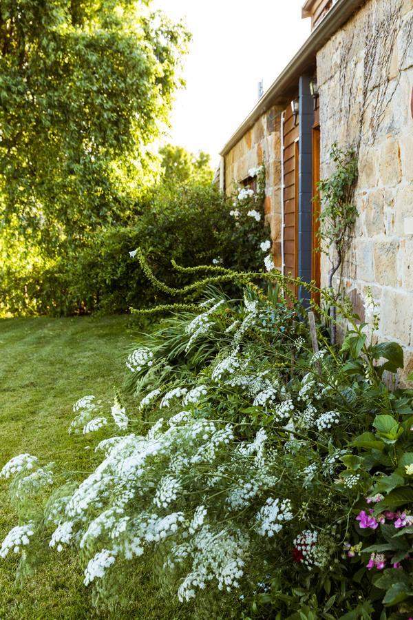 Daisy Bank Cottages Richmond Buitenkant foto
