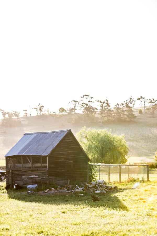 Daisy Bank Cottages Richmond Buitenkant foto