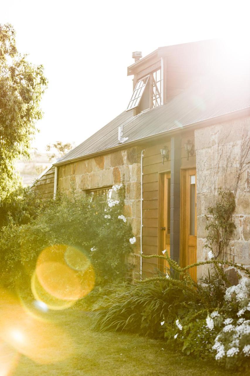 Daisy Bank Cottages Richmond Buitenkant foto