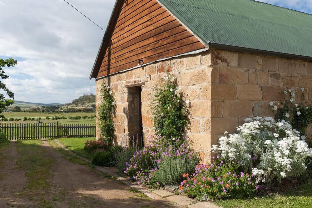Daisy Bank Cottages Richmond Buitenkant foto