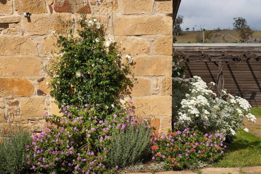 Daisy Bank Cottages Richmond Buitenkant foto